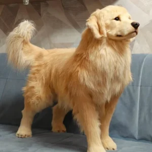 1:1 life-size pet portrait of a golden retriever